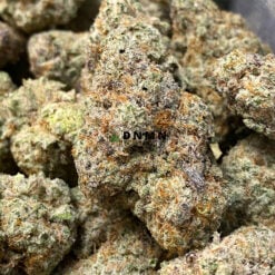 Black Cherry OG - Cheap Weed Canada - Dispensary Near Me Now