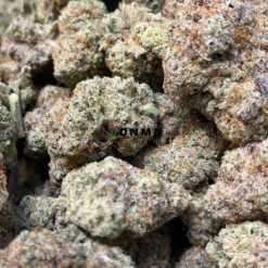Black Cherry OG - Online Dispensary Canada - Dispensary Near Me Now