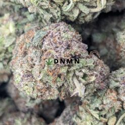 Blue Dream - Online Dispensary Canada - Dispensary Near Me Now
