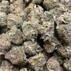Cactus Breath - Online Dispensary Canada - Dispensary Near Me Now