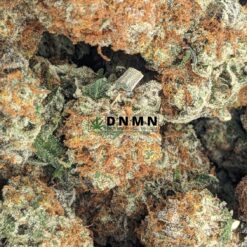 Durban Poison - Online Dispensary Canada - Dispensary Near Me Now