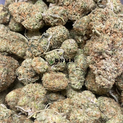 Grapefruit Haze - Online Dispensary Canada - Dispensary Near Me Now