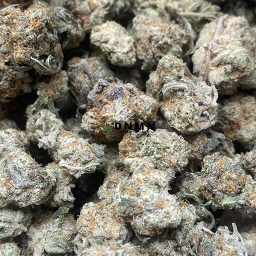 Greasy Rockstars - Cheap Weed Canada - Dispensary Near Me Now