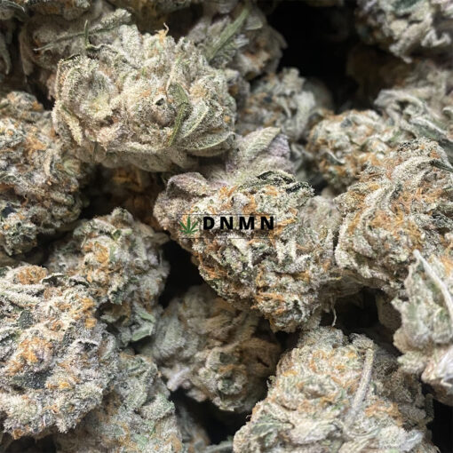 Lemon Sour Diesel - Cheap Weed Canada - Dispensary Near Me Now