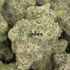 MAC 10 - Online Dispensary Canada - Dispensary Near Me Now