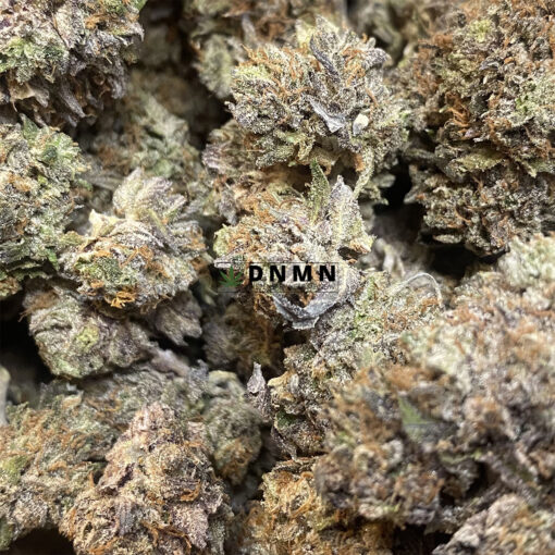 Peyote Cookies - Cheap Weed Canada - Dispensary Near Me Now