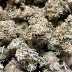 Purple Mendocino - Online Dispensary Canada - Dispensary Near Me Now