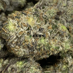 Purple Skunk - Online Dispensary Canada - Dispensary Near Me Now