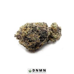 Shishkaberry - Buy Weed Online - Dispensary Near Me Now