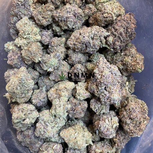 Shishkaberry - Cheap Weed Canada - Dispensary Near Me Now