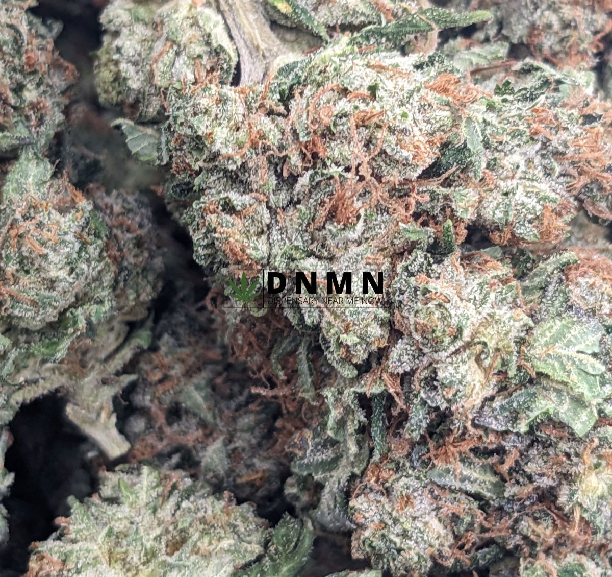Trainwreck - Online Dispensary Canada - Dispensary Near Me Now