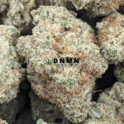Willy Wonka - Online Dispensary Canada - Dispensary Near Me Now