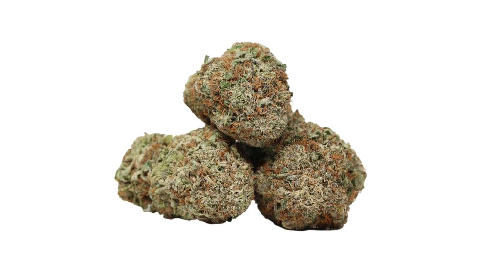 Buying BC bud should no longer be a struggle. Stop the guesswork and use the actionable guide to buy BC bud online. 