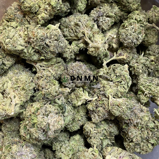 Granddaddy Purple - Online Dispensary Canada - Dispensary Near Me Now