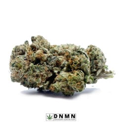 Rockstar - Buy Weed Online - Dispensary Near Me Now