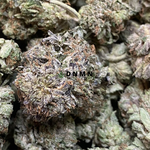 Rockstar - Online Dispensary Canada - Dispensary Near Me Now