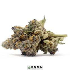 Black Tuna - Buy Weed Online - Dispensary Near Me Now