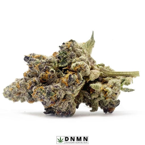 Black Tuna - Buy Weed Online - Dispensary Near Me Now