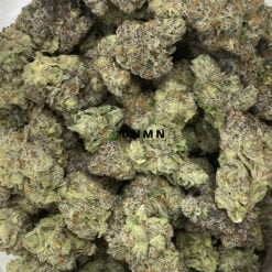 Black Tuna - Cheap Weed Canada - Dispensary Near Me Now