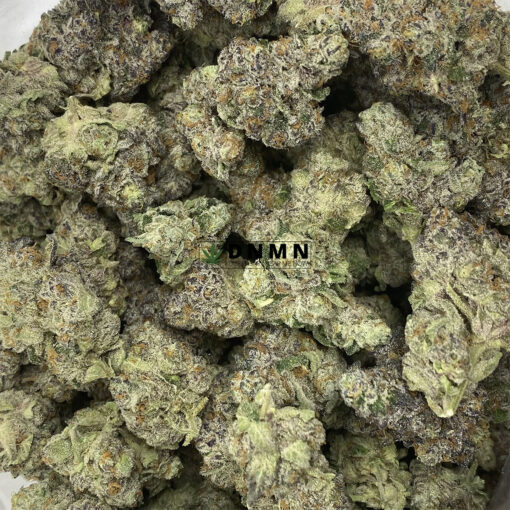 Black Tuna - Cheap Weed Canada - Dispensary Near Me Now