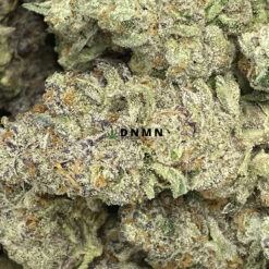 Black Tuna - Online Dispensary Canada - Dispensary Near Me Now