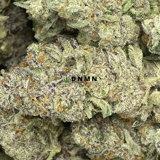 Black Tuna - Online Dispensary Canada - Dispensary Near Me Now