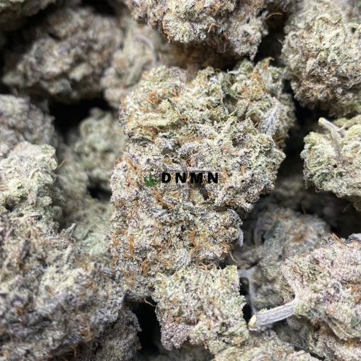Cereal Milk - Cheap Weed Canada - Dispensary Near Me Now