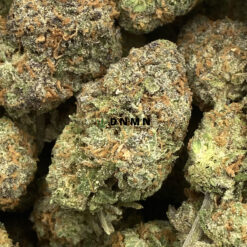 East Coast Sour Diesel - Online Dispensary Canada - Dispensary Near Me Now