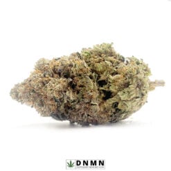 Gas - Buy Weed Online - Dispensary Near Me Now