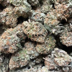 Granddaddy Kush - Cheap Weed Canada - Dispensary Near Me Now