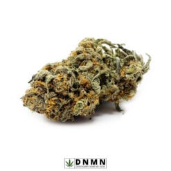 Grape Punch - Buy Weed Online - Dispensary Near Me Now