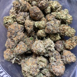 Grape Punch - Cheap Weed Canada - Dispensary Near Me Now