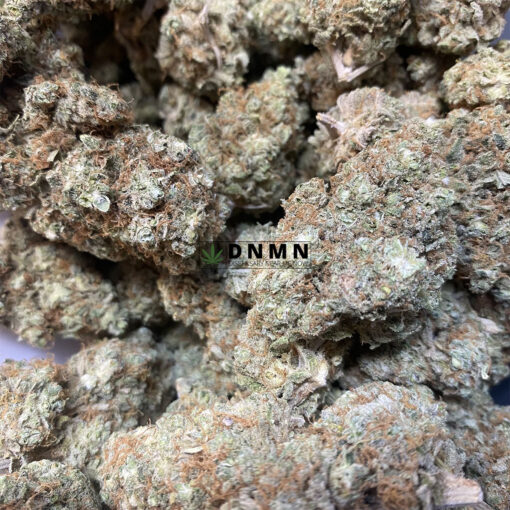 Green Kush - Online Dispensary Canada - Dispensary Near Me Now