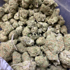 Lemon Skunk - Cheap Weed Canada - Dispensary Near Me Now