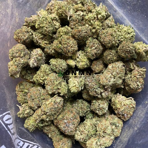 Master Kush - Cheap Weed Canada - Dispensary Near Me Now