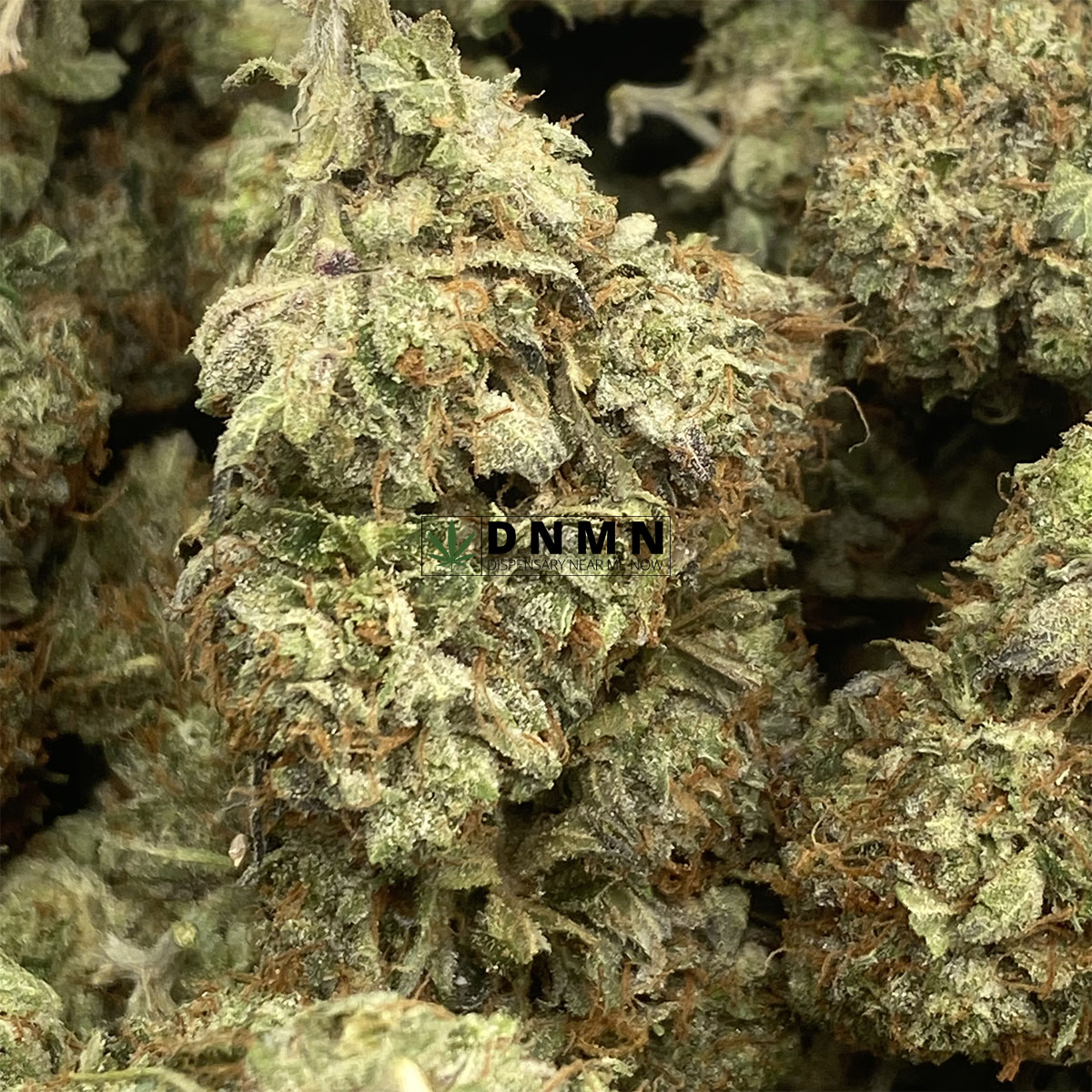 Master OG - Online Dispensary Canada - Dispensary Near Me Now