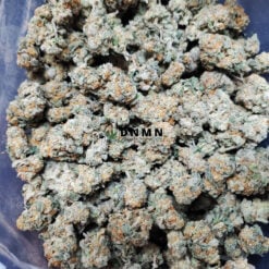 Jungle Breath - Cheap Weed Canada - Dispensary Near Me Now