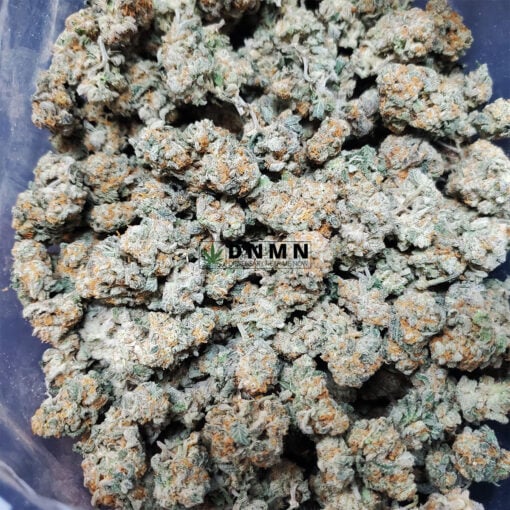 Jungle Breath - Cheap Weed Canada - Dispensary Near Me Now