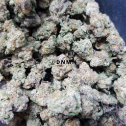Mr. Nice Guy - Online Dispensary Canada - Dispensary Near Me Now