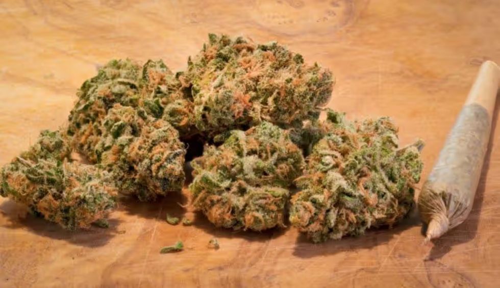 Discover primary benefits of online shopping for weed, learn how to choose best online weed shops & get tips on hassle-free cannabis shopping