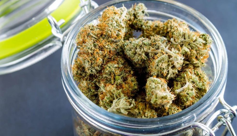 A complete guide on selecting best online THC flower, understanding strains & choosing a reliable cannabis store for a smooth experience.