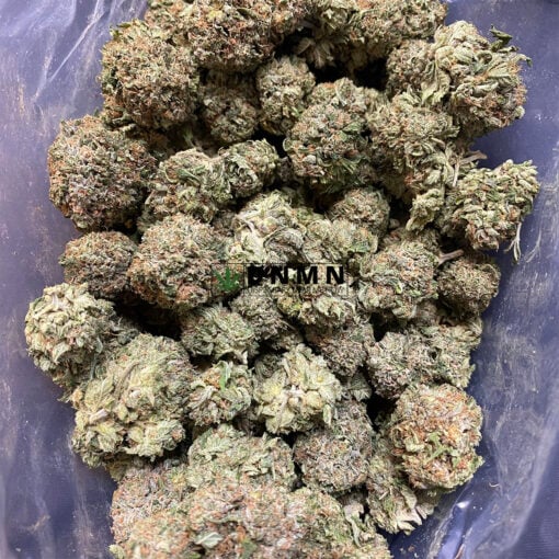 Pink Kush - Cheap Weed Canada - Dispensary Near Me Now