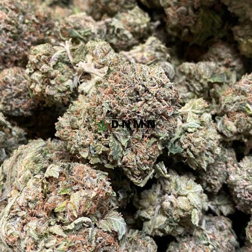 Pink Kush - Online Dispensary Canada - Dispensary Near Me Now