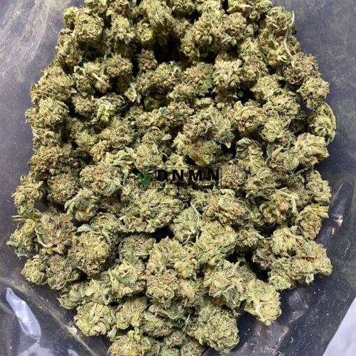 Platinum Purple Kush - Cheap Weed Canada - Dispensary Near Me Now