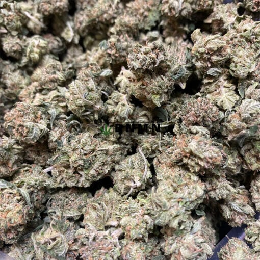 Platinum Purple Kush - Online Dispensary Canada - Dispensary Near Me Now
