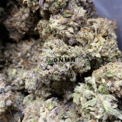 Purple Gas Mask - Online Dispensary Canada - Dispensary Near Me Now