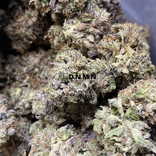 Purple Gas Mask - Online Dispensary Canada - Dispensary Near Me Now