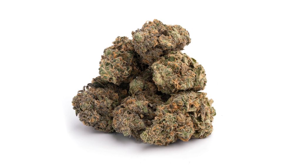 Explore the legacy of the ultra-popular Purple Haze strain. Discover its mysterious origins, effects, terpenes & where to buy it online.