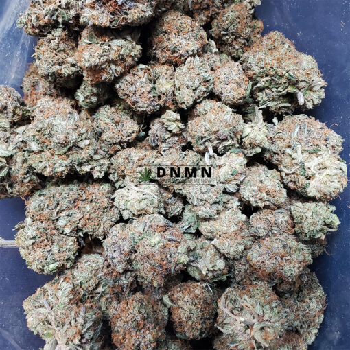 Purple Kush - Cheap Weed Canada - Dispensary Near Me Now
