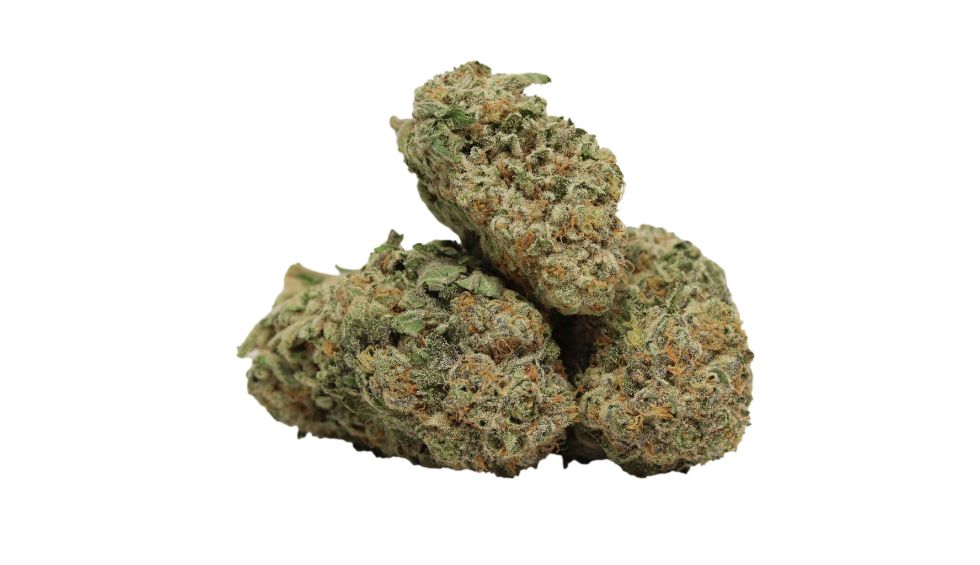 If you want a heavy sativa-dominant hybrid, then the Red Congo strain is ideal for you. Find out more about the Red Congolese Strain.